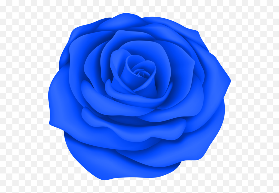 Rose Drawing Blue Rose Blue Cobalt Blue For Valentines Day Emoji,Transparent Rose Drawing