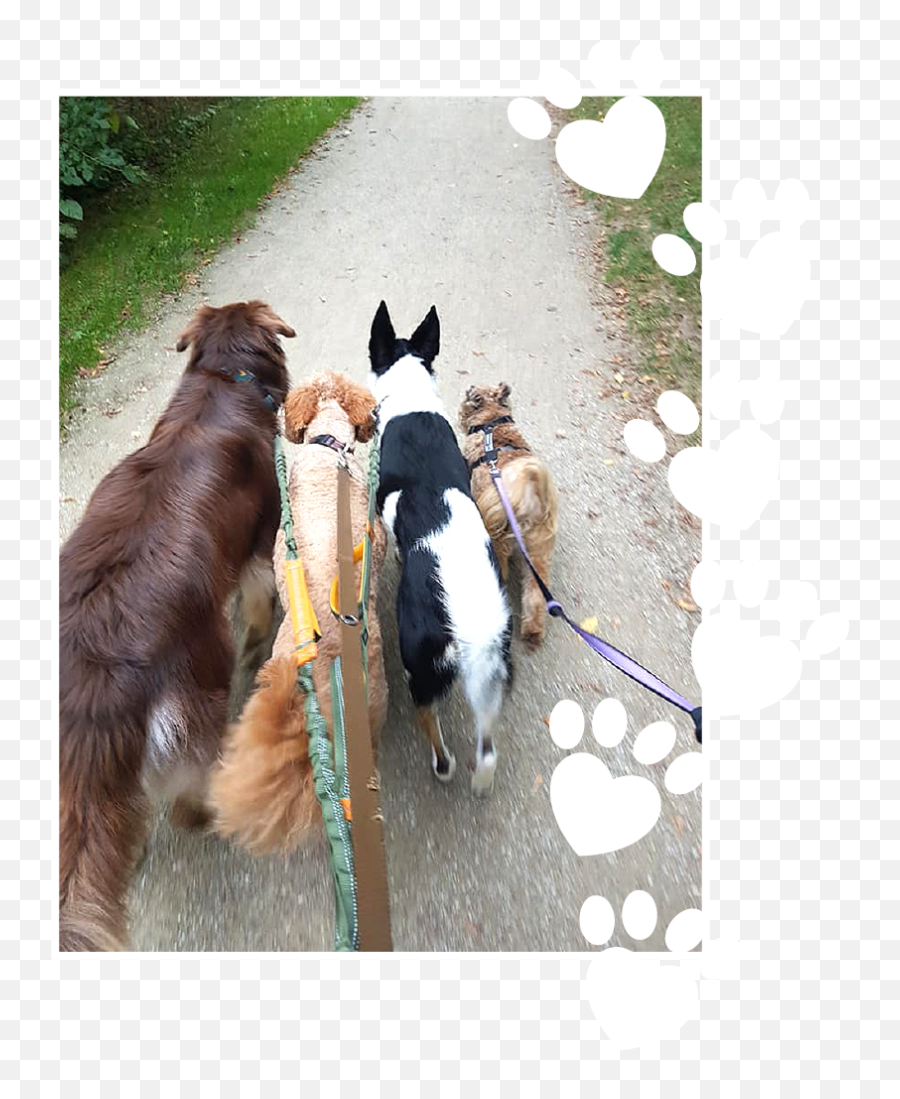 Contact Us - Paw Prints Pet Care Emoji,Dog Paws Png