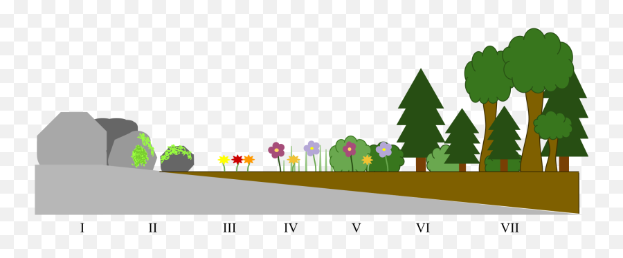 Clipart Road Timeline Picture 648056 Clipart Road Timeline - Primary Succession Template Emoji,Timeline Clipart