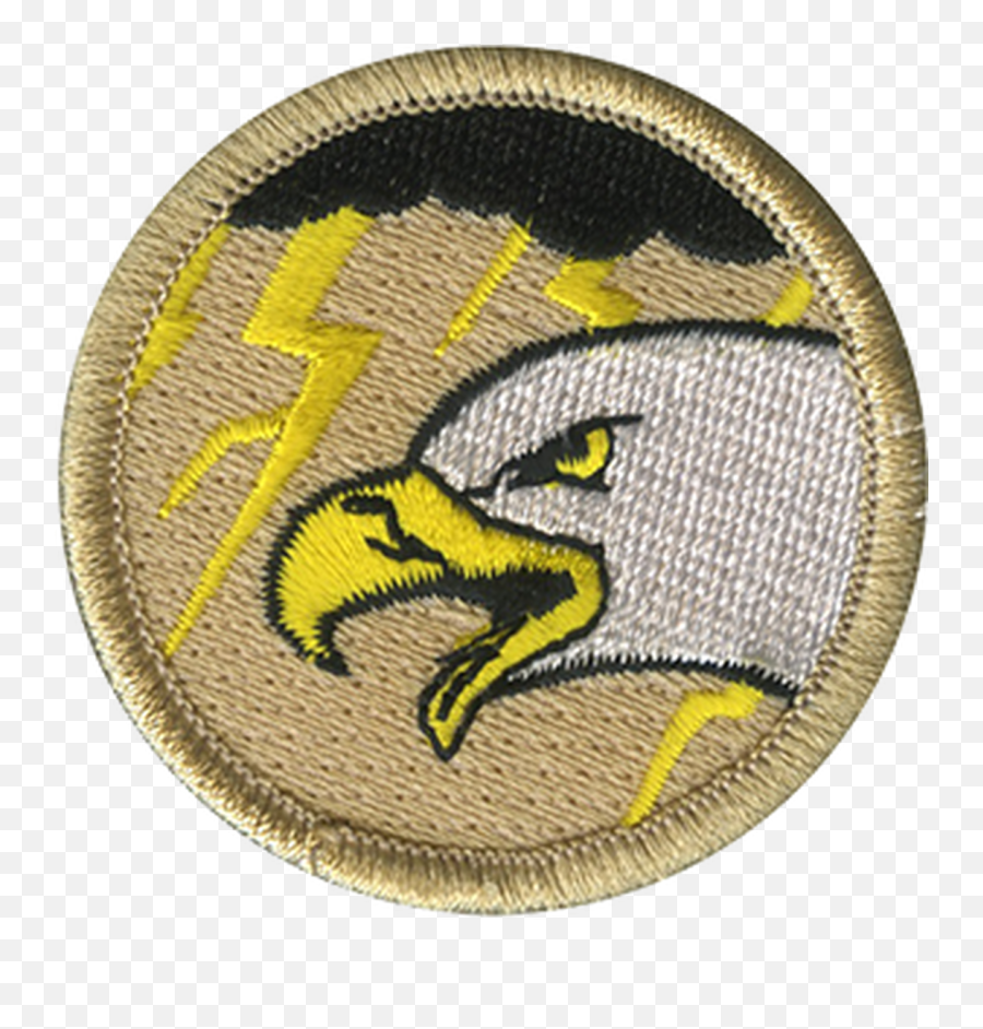 Lightning Eagle Patrol Patch - Accipitridae Emoji,Eagle Scout Logo