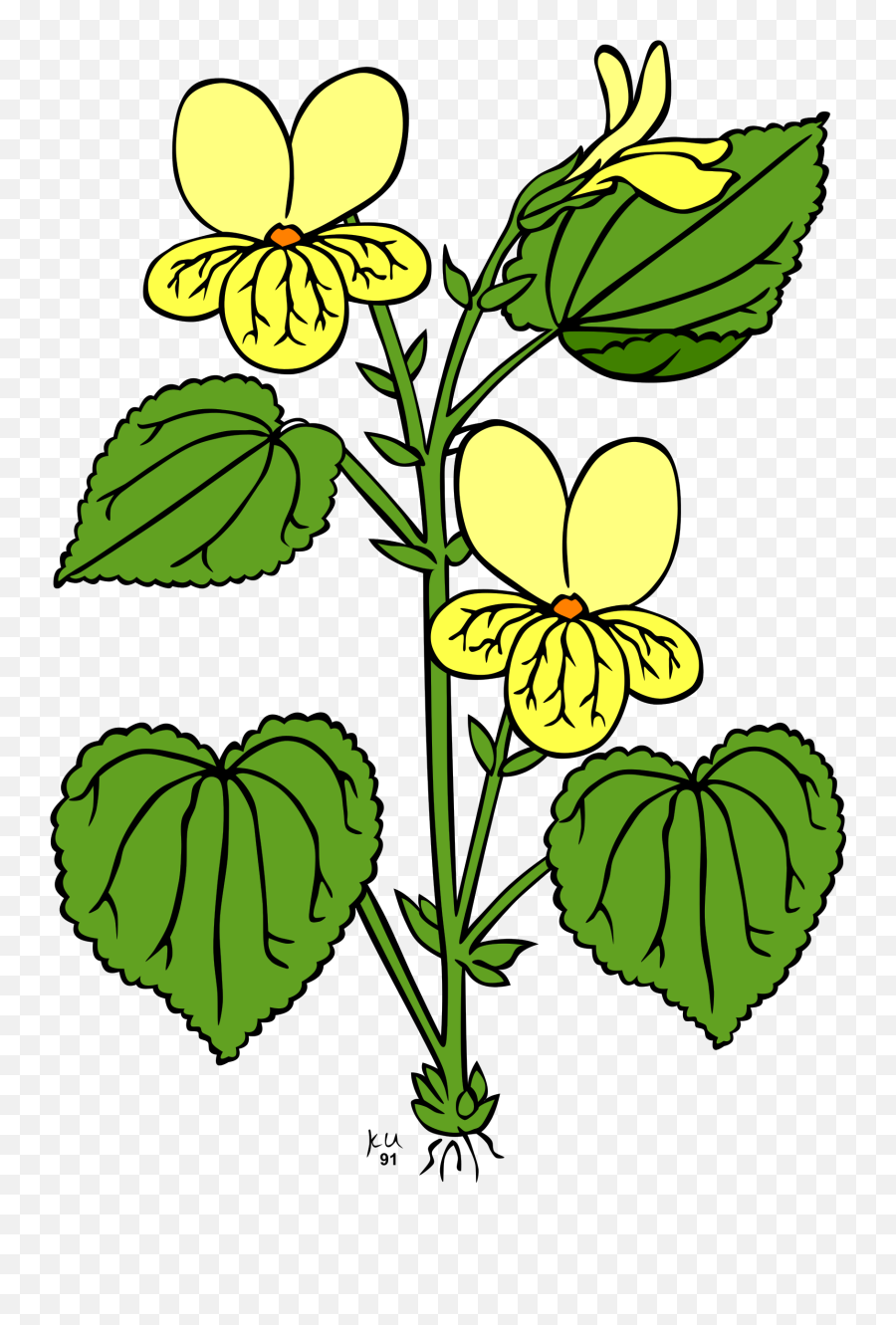 Plant A Flower Clipart Freeuse Stock - Plant Clipart With Roots Emoji,Plant Clipart