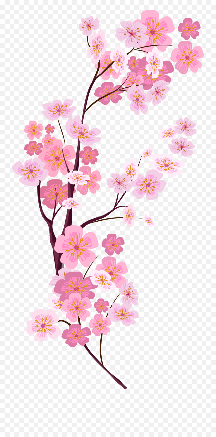 Download Pink Euclidean Blossom Cherry Painted Vector - Bunga Sakura Png Hd Emoji,Cherry Blossom Png