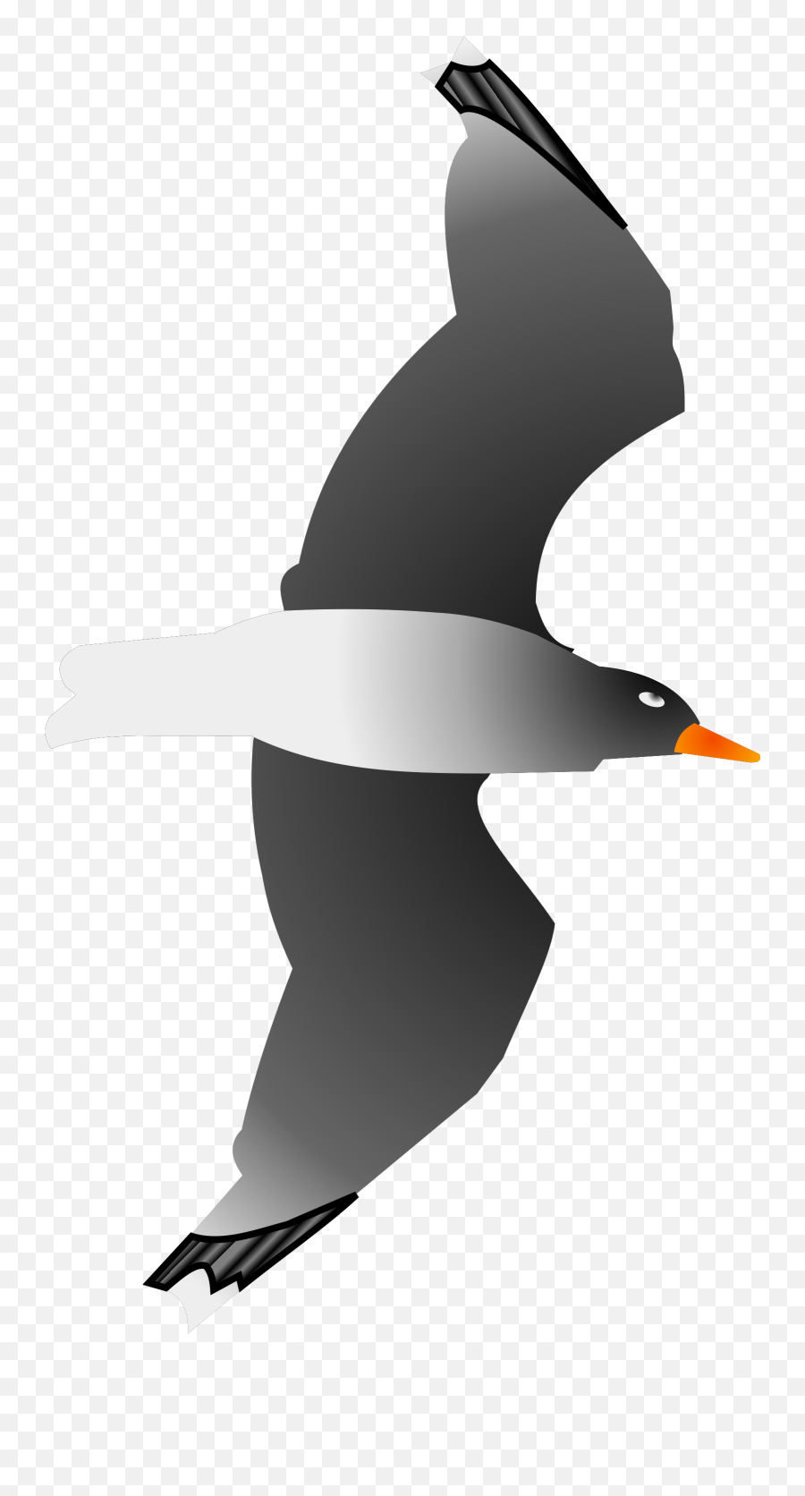 Seagull Png Svg Clip Art For Web - Seabird Emoji,Seagull Clipart