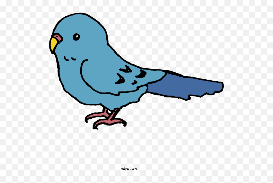 Animals Birds Budgerigar Beak For Animal - Animal Clipart Pet Birds Emoji,Transparent Animals