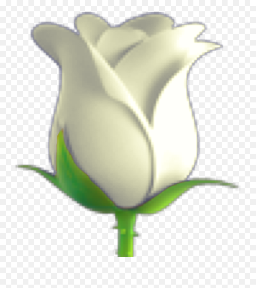 White Rose Emoji Remixedemoji 291073006050211 By Dexhornet,Family Emoji Transparent