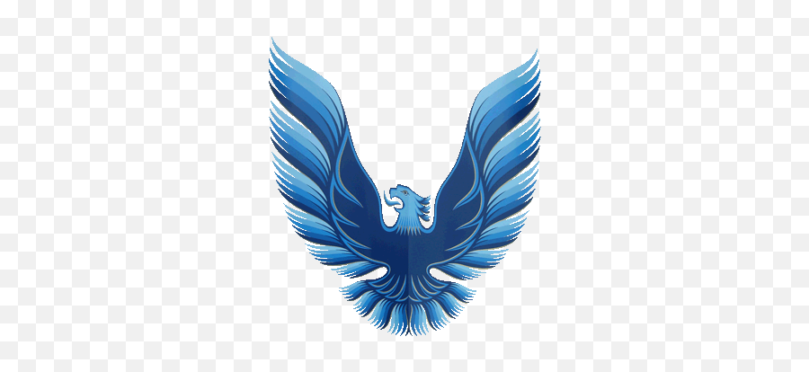 Gold And Blue Bird Logo - 1979 Trans Am Bird Decal Emoji,Blue Bird Logo