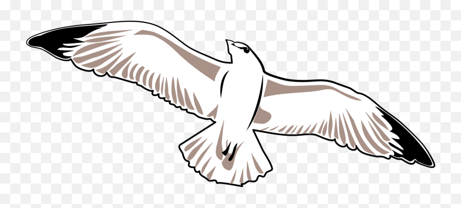 Seagull Clipart Png - Vector Graphics Emoji,Seagull Clipart