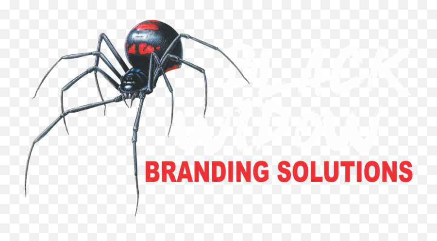 Services - Black Widow Branding Solutions Southern Black Widow Emoji,Black Widow Logo