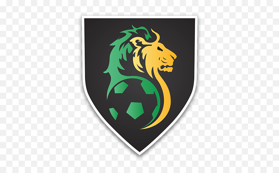 Come Out To Watch Macca Ballers Fc For - Team Soccer Logo Lion Emoji,Soccer Logo