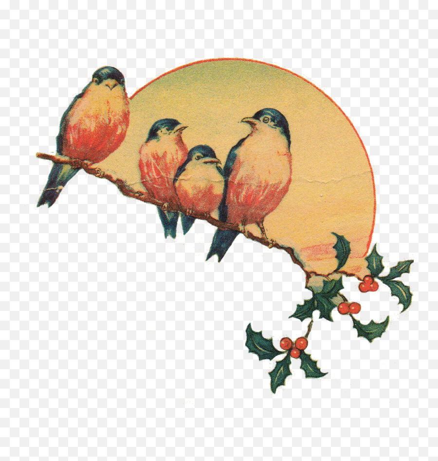 Download Vintage Clipart Hq Png Image - Vintage Bird Png Transparent Emoji,Vintage Clipart