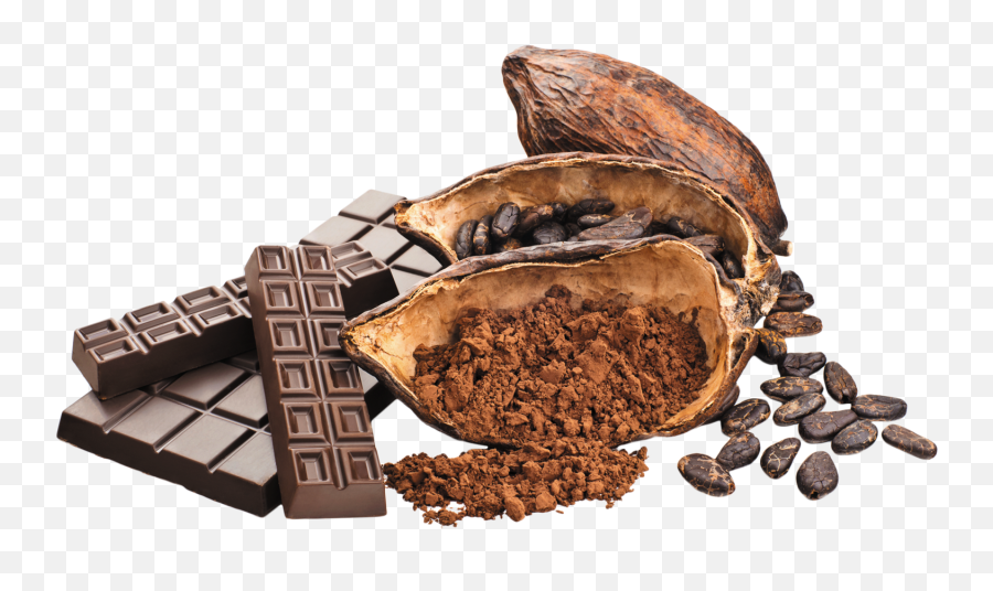 Cacao With Chocolate Png Image Emoji,Chocolate Png