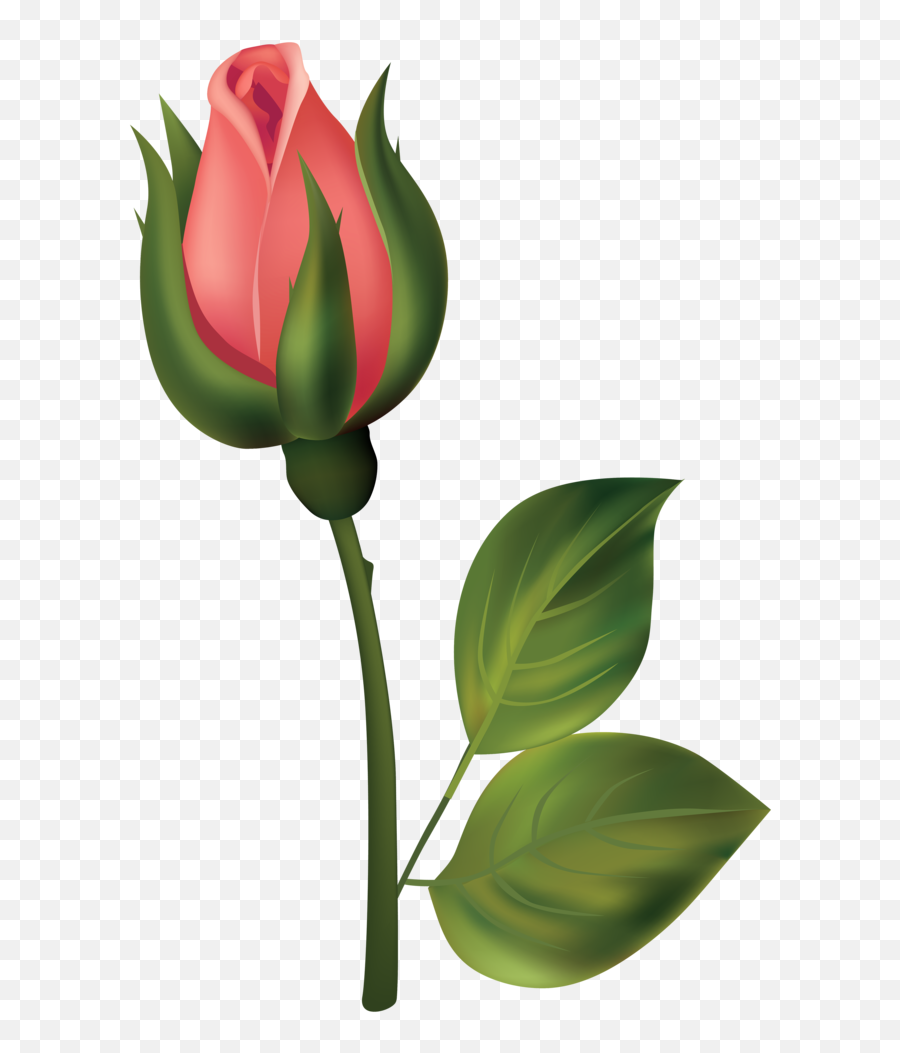 Stem Red Rose Bud Png Clipart - Fresh Emoji,Stem Clipart