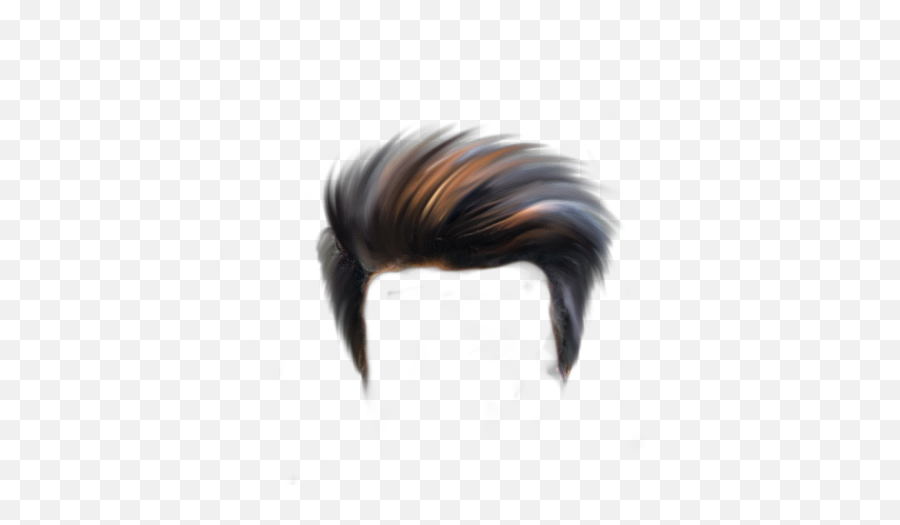 Top Hair Png Download All New Cb - New Hair Style Png Emoji,Hair Png