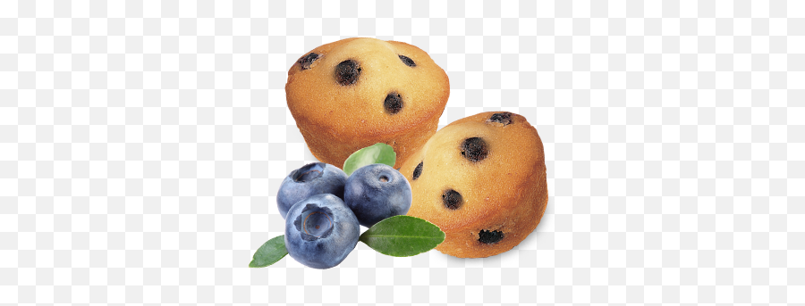 Little Bites Blueberry Muffins Little Bites Snacks - Mini Blueberry Muffins Little Bites Emoji,Blueberries Png