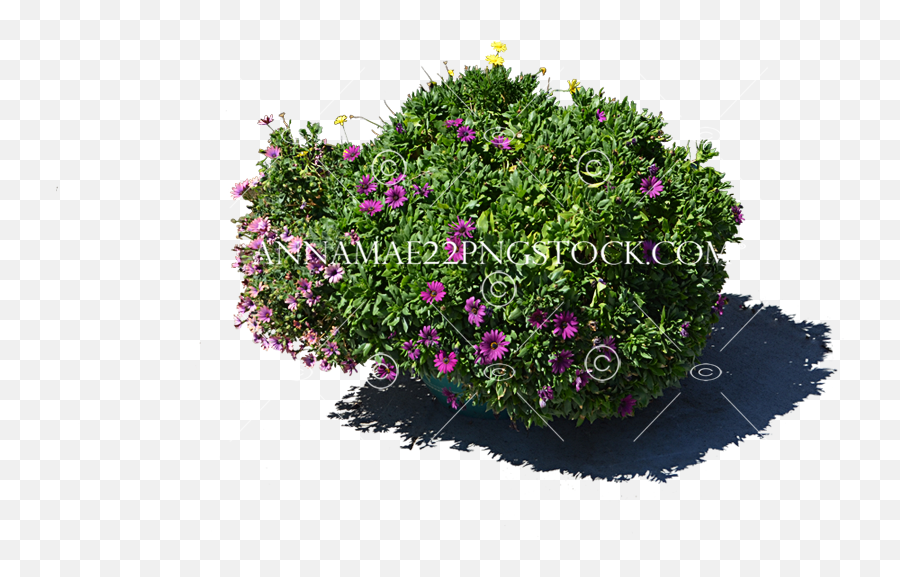 Flower Pot Png Stock Photo 0077 Transparent Image Emoji,Potted Plant Transparent Background