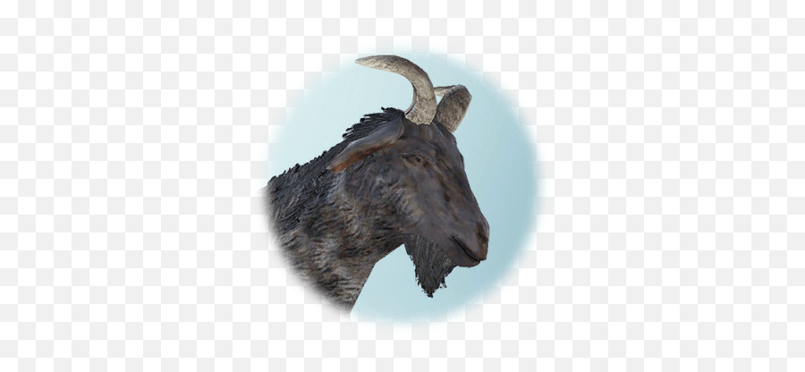Drieghan Female Goat - Bdo Codex Emoji,Goat Head Png