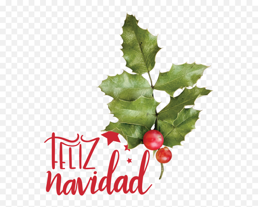 Christmas Leaf Holly Grape Leaves For Feliz Navidad For Emoji,Holly Leaves Png