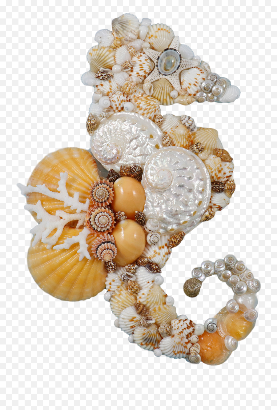 The Sleepy Seahorse Seashell Art U0026 Nature Photography Emoji,Sleepy Png
