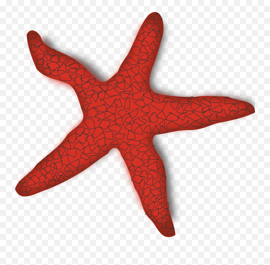 Beach Ocean Marine Life R - Starfish Clip Art Png Starfish Clip Art Emoji,Ocean Clipart