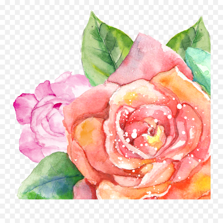 Png Watercolor - Inkess Transparent Watercolor Floral Watercolor Summer Flower Png Emoji,Transparent Watercolor
