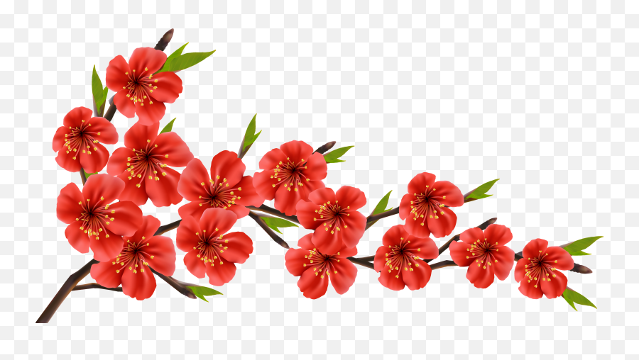 Download Red Spring Branch Png Clipart Image - Cherry Red Cherry Blossom Clipart Png Emoji,Cherry Blossom Png