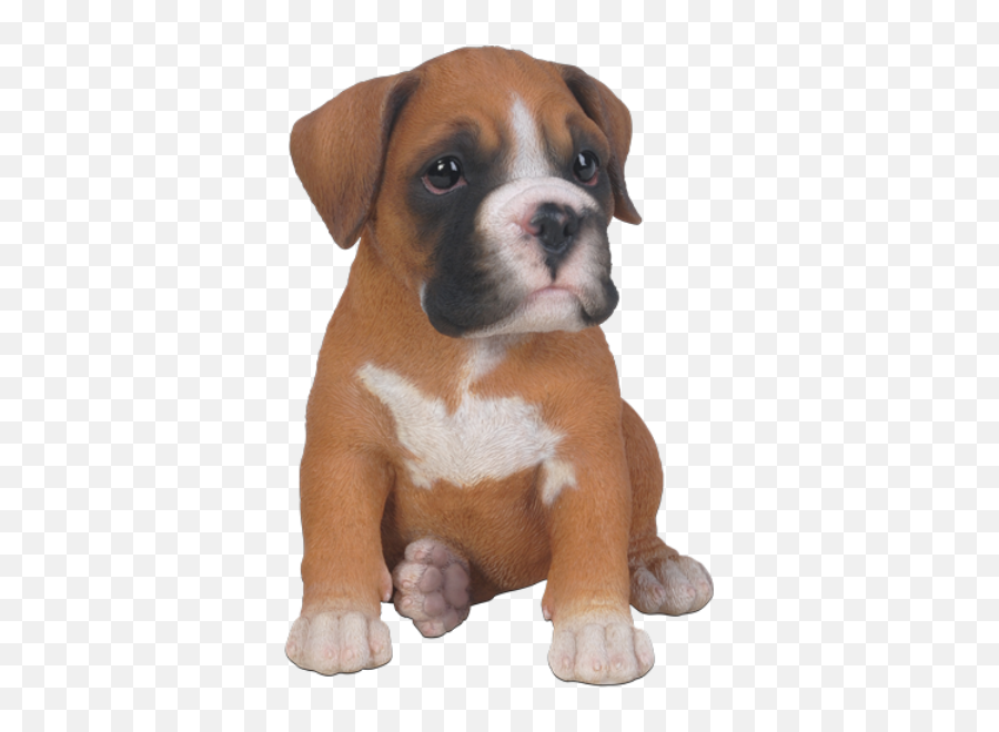 Download Puppy Clipart Boxer Puppy - Boxer Dog Puppy Png Png Emoji,Boxer Clipart