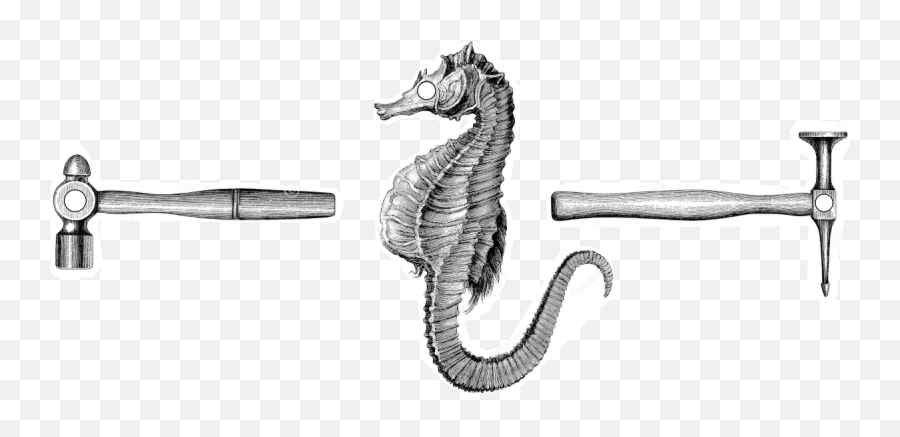 Seahorse With Hammers - Tools Icon Ashes Still Water Boats Emoji,Tool Icon Png