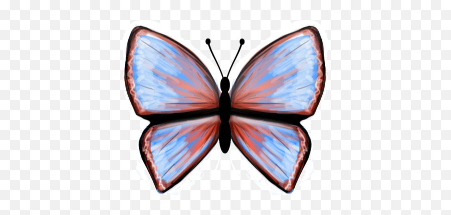 Animated Butterfly Clipart Clipart Panda - Free Clipart Emoji,Butterfly Wing Clipart