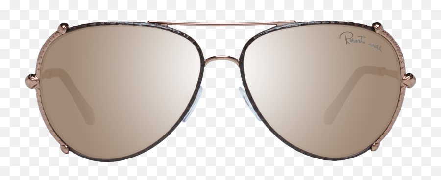 Roberto Cavalli Sunglasses Rc1029 34g 58 From Category Emoji,Aviator Sunglasses Transparent Background