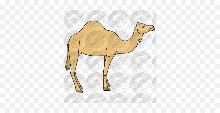 Camel Picture For Classroom Therapy - Animal Figure Emoji,Camel Clipart