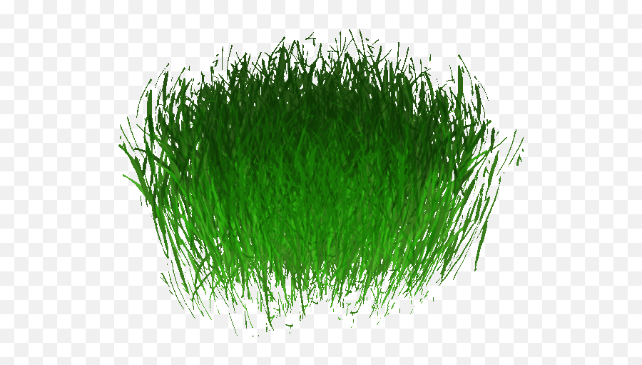 Seaweed Png - Portable Network Graphics Full Size Png Seaweed Png Emoji,Seaweed Png