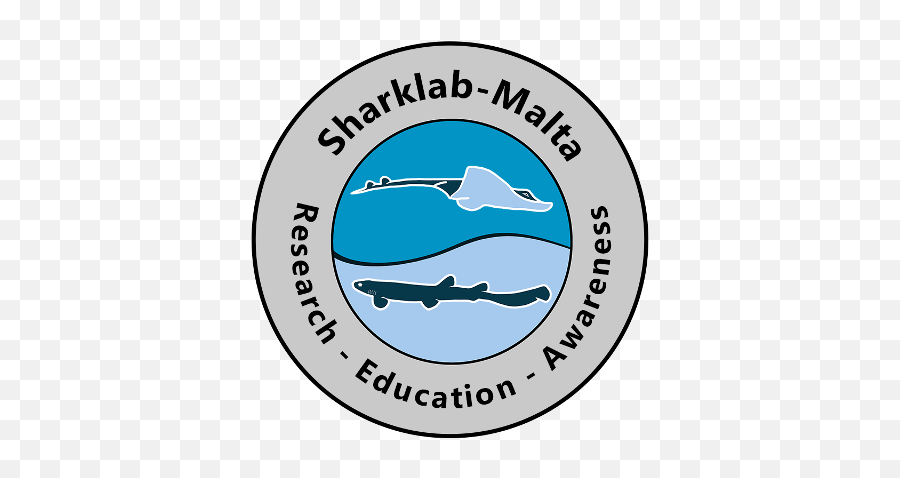 Adopt A Shark U2013 Help Us Get To An Epic 320 Baby Sharks - Sharklab Malta Emoji,Baby Shark Logo