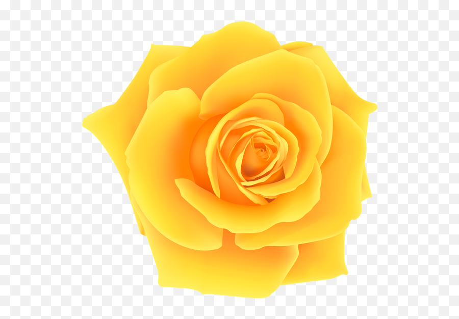 Rose Clipart Flower Clipart - Transparent Background Yellow Rose Clipart Emoji,Rose Clipart