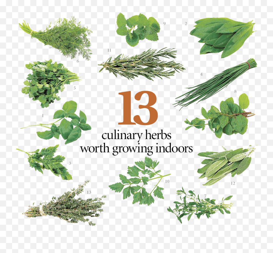 Herbs Download Transparent Png Image - Indian Herbs Emoji,Herbs Clipart
