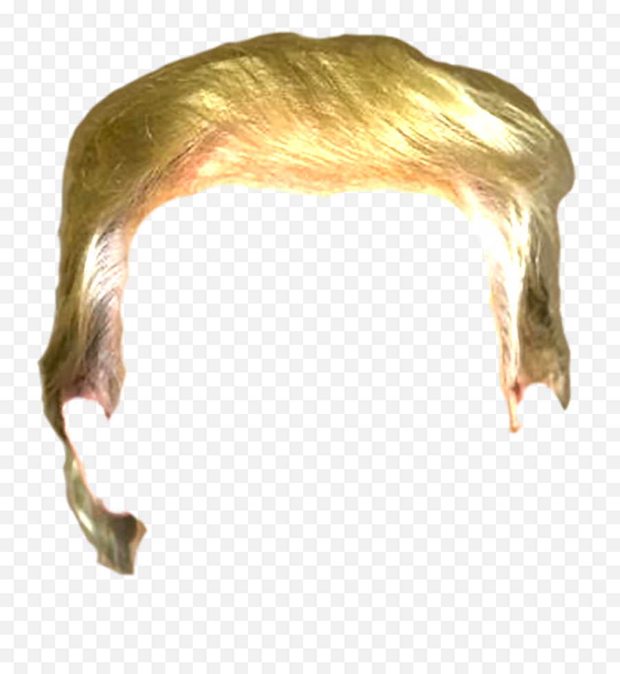Trump Hair Png Emoji,Trump Face Png