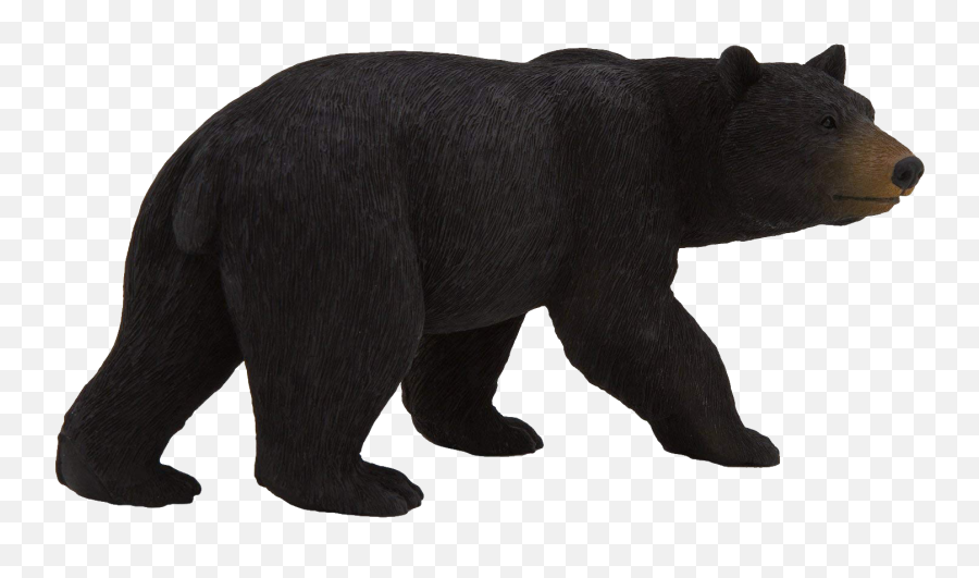 American Black Bear Png Free Pic - Mojo Black Bear Emoji,Black Bear Png