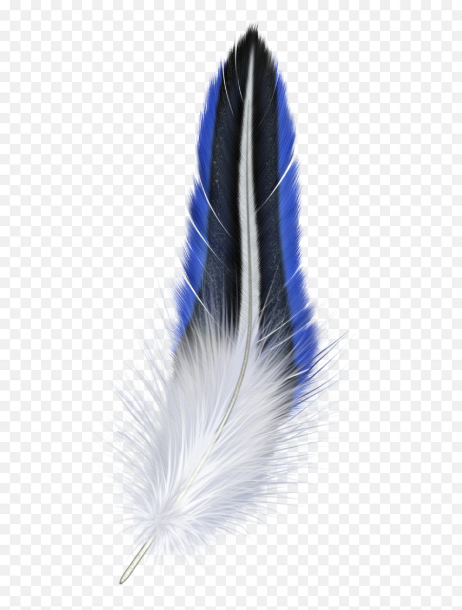 Download Feather Free Png Transparent Image And Clipart - Transparent Colorful Feather Png Emoji,Feather Clipart Black And White