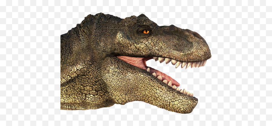 Download T Rex Transparent Images - T Rex Head No Background Emoji,Trex Png