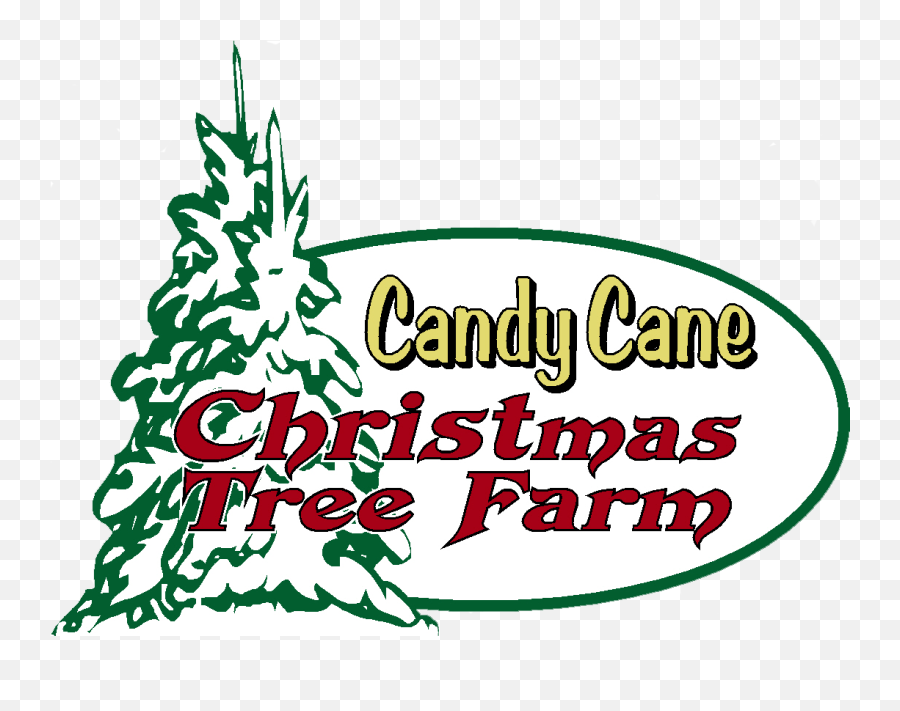 Coupon Candy Cane Christmas Tree Farm Emoji,Christmas Tree Logo