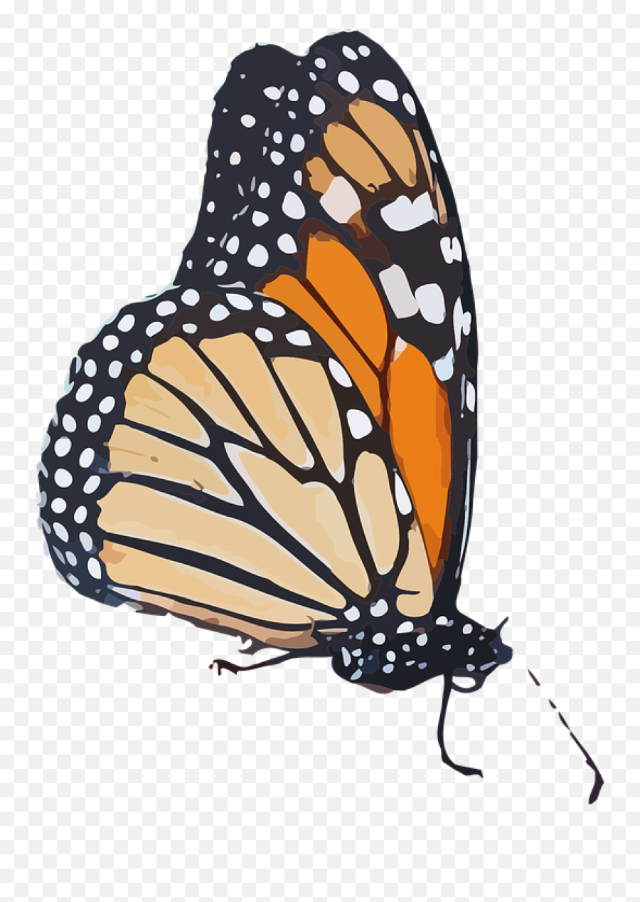 Monarch Butterfly Clipart Transparent Background - Monarch Monarch Butterfly Graphics Emoji,Butterfly Transparent Background