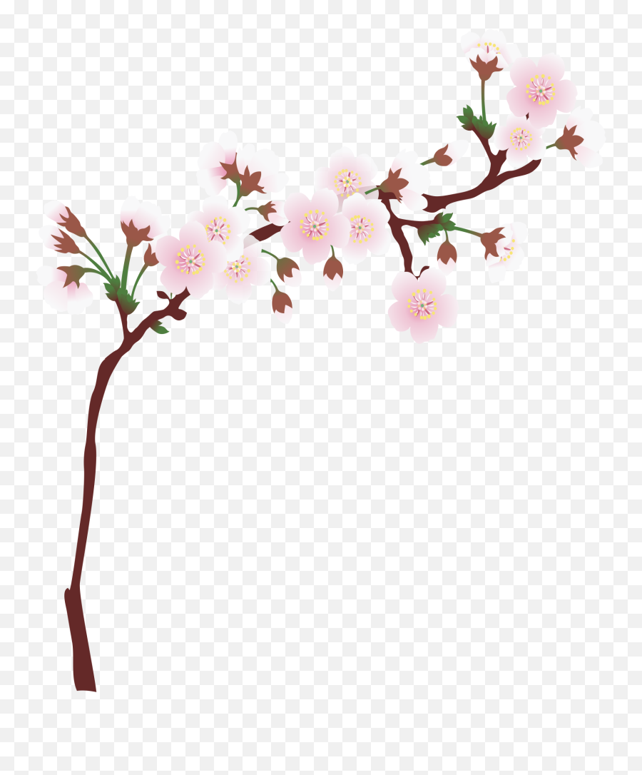 Cherry Tree Branches Png Download - Transparent Cherry Blossom Tree Branch Emoji,Cherry Blossom Clipart