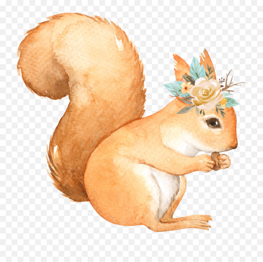 Squirrel Png - Squirrel Sticker Watercolor Happy Forest Watercolor Squirrel Png Emoji,Squirrel Png