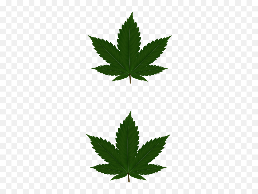 Cannabis Leaves For Pasties Clip Art At Clkercom - Vector Cartoon Weed Leaf Png Emoji,Weed Leaf Transparent