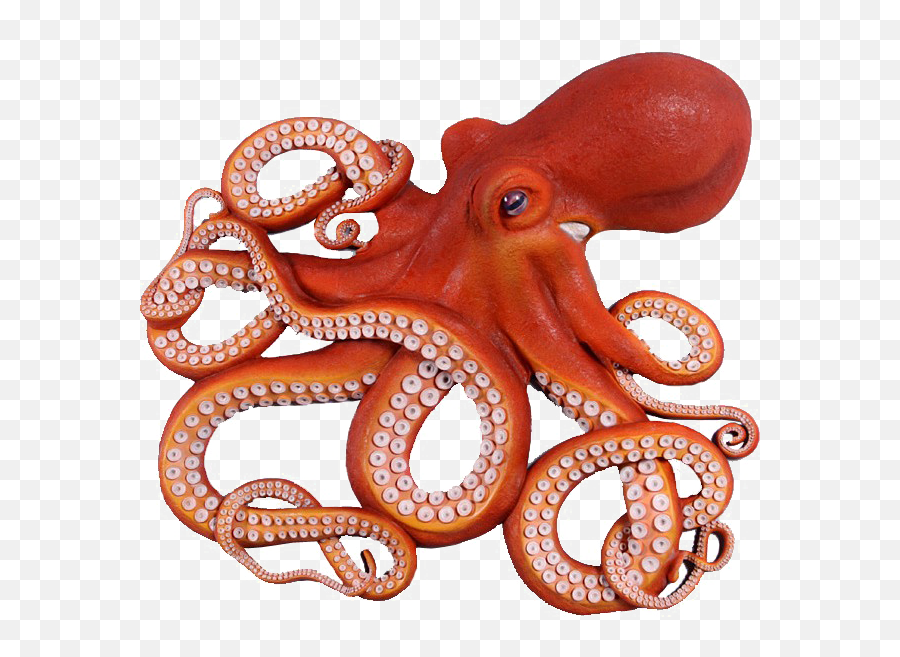 Octopus Png Photo - Octopus Fish Emoji,Octopus Png