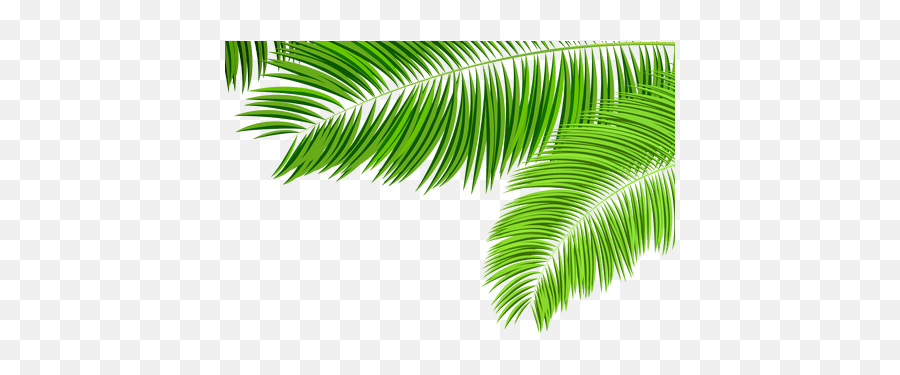Clip Art Palm Tree Leaves Transparent - Transparent Palm Tree Branch Png Emoji,Tropical Leaf Png