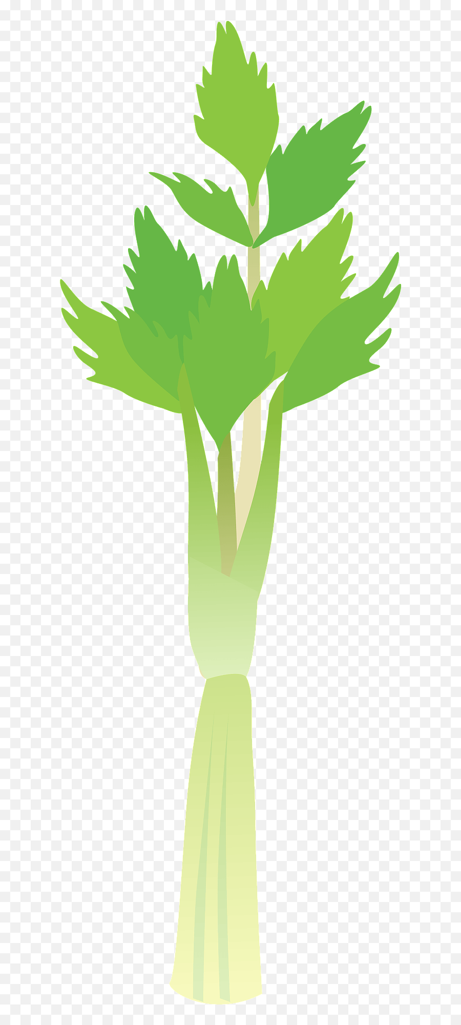 Celery Stalk Clipart - Celery Emoji,Celery Png