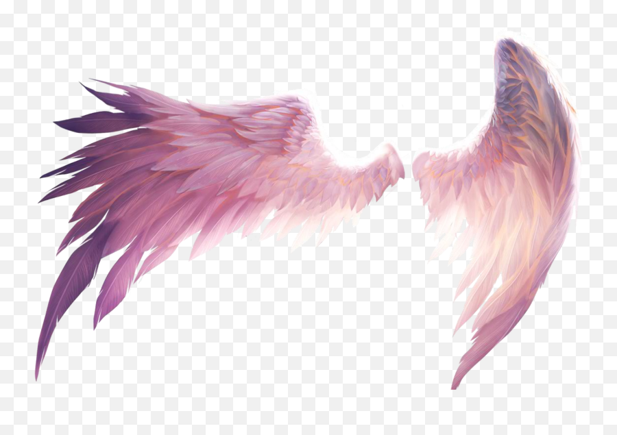Freetoeditwing Remixed From Sunflower - Hazel Angel Wings Angel Wings Png Emoji,Angel Wings Png