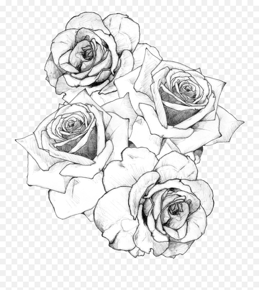 White Rose Clipart Tumblr Transparent - Drawing Tattoos Floral Emoji,Rose Clipart Black And White