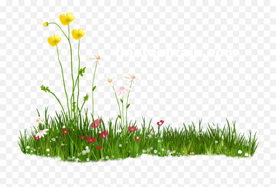 Nature Png Images - Finetech Raju Flower Nature Grass Png Emoji,Nature Png