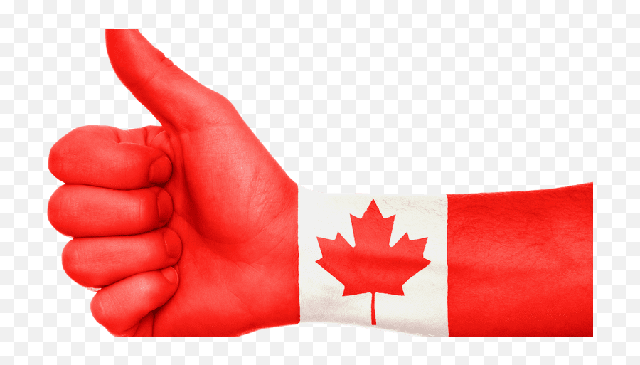 Frai 20 Canada Flag Png Gif Nikolas Fernandez Emoji,Canadian Flag Transparent